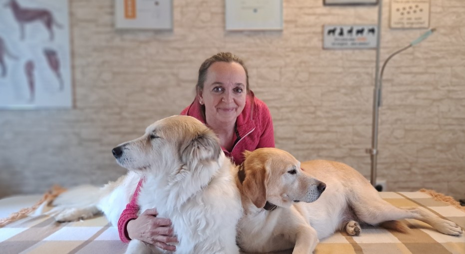 Manuelle Therapie & Lymphdrainage am Hund/Pferd